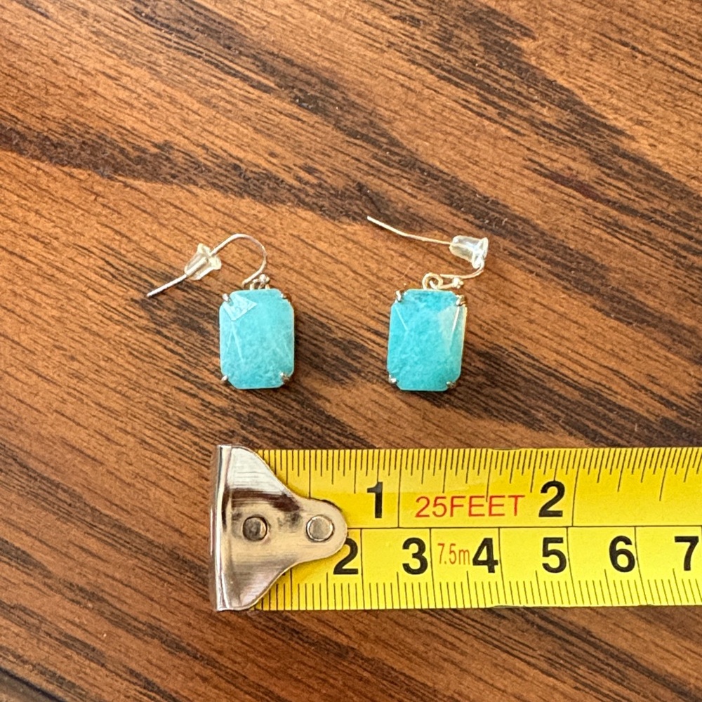 Light Blue Earrings